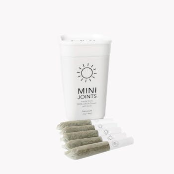 Jane West Day | 5pk | 1.75g